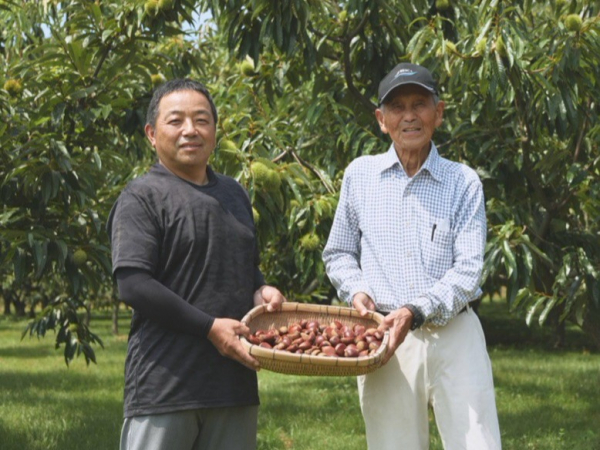 菊池特選栗集荷組合(熊本)